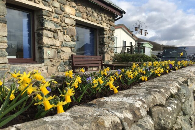 Photo of reception with daffodils